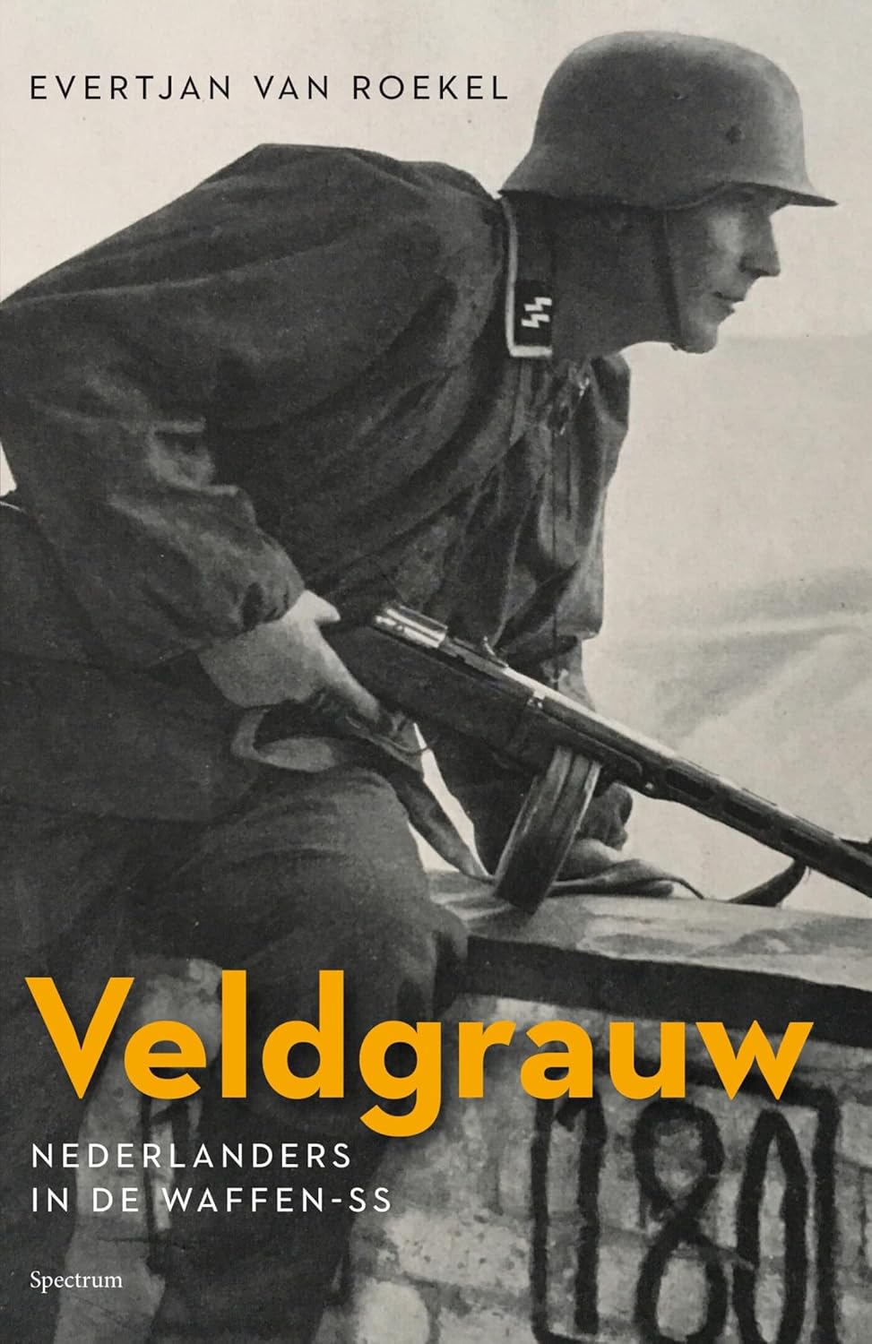 Cover of Veldgrauw: Nederlanders in de Waffen-SS